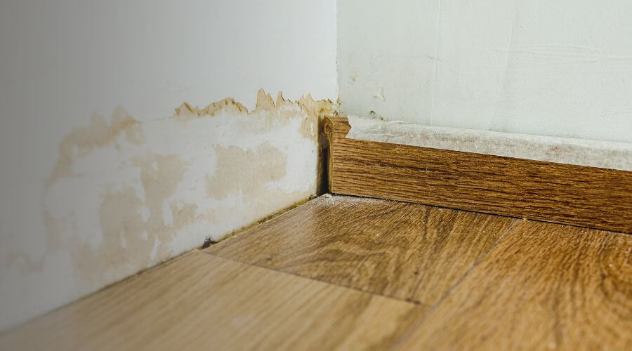 Why choose Water Damage Restoration Shoofly Village Indian Ruins for water damage restoration in Shoofly Village Indian Ruins